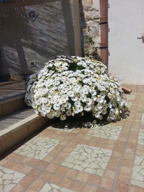 Lovely Cottage Castellammare del Golfo Luaran gambar
